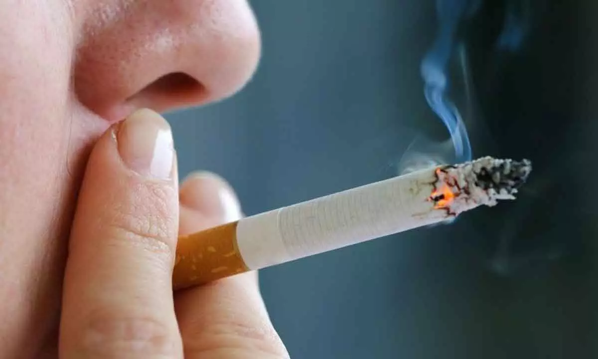 Rs 33 cr fine collected from public smokers in last 14 years