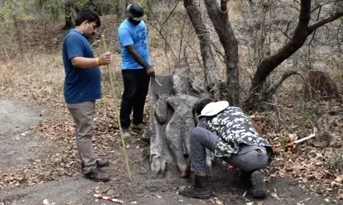 Temples, Buddhist caves, Mughal era coins found in MP