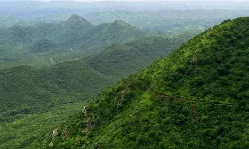 Aravalli To Be Developed As Worlds Second Largest Safari Park