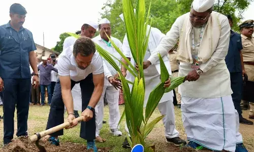 Rahul bridges gap between two communities by laying new road