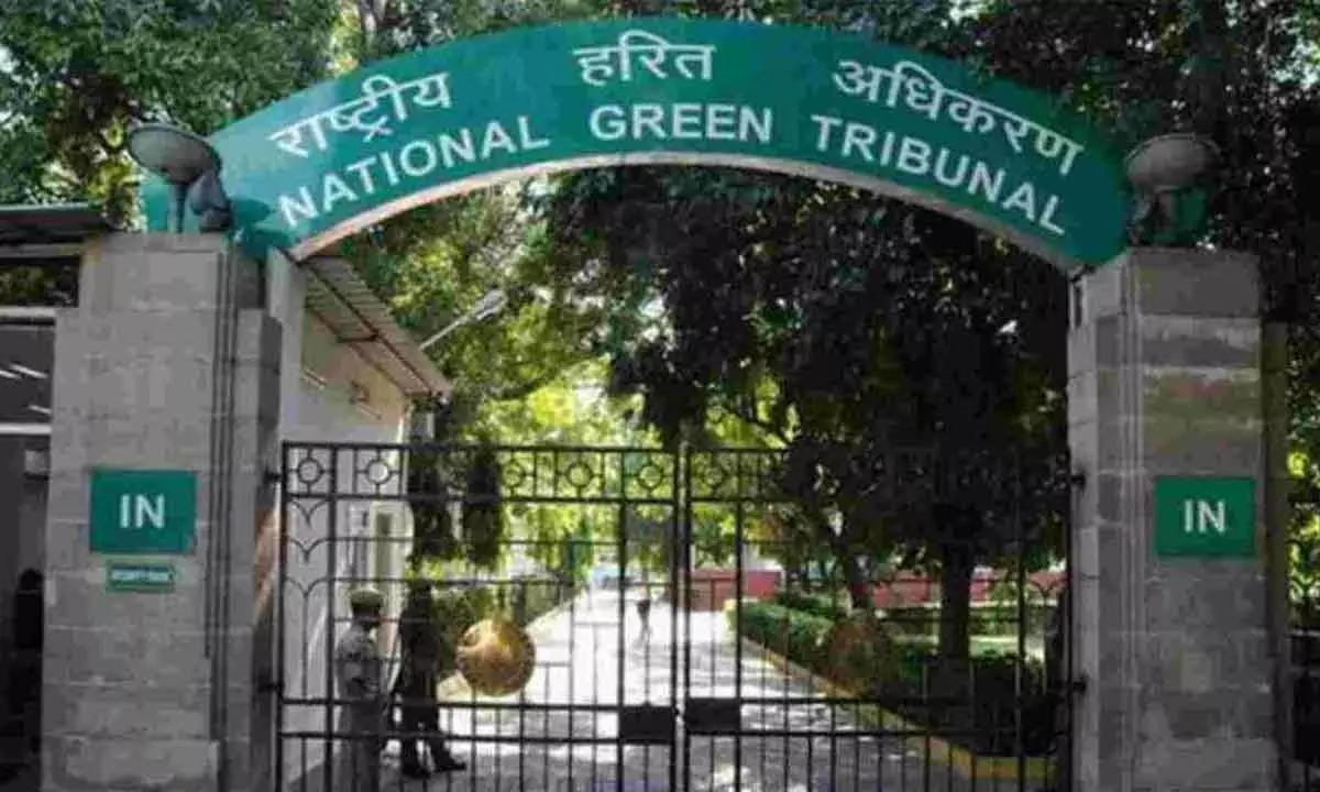 NGT imposes Rs 3.8 cr on TS govt over improper municipal solid and liquid waste treatment