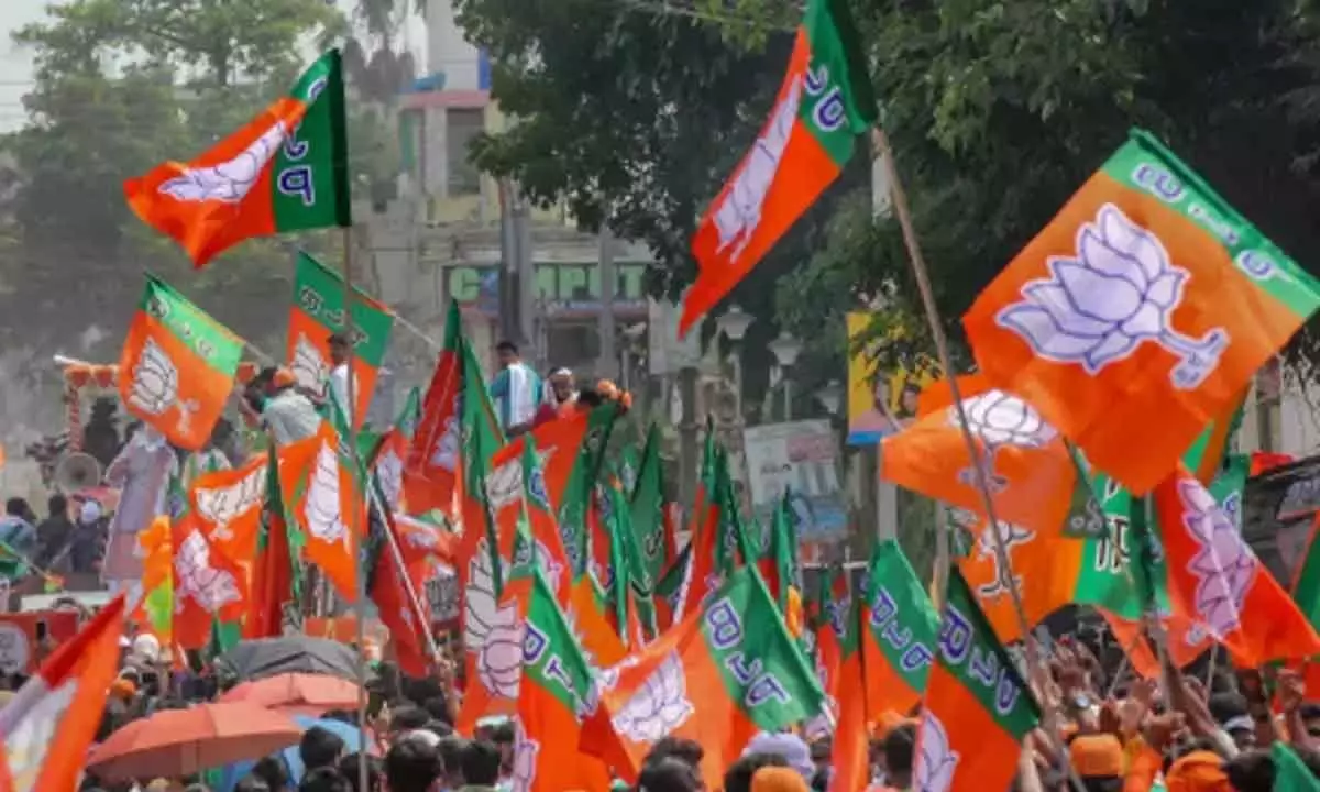 UP teams land in State, to take a close look at BJP prospects