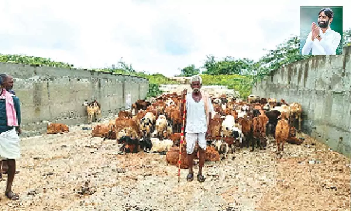 Social activist assures financial aid to shepherds