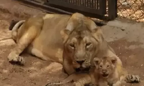 Hyderabads Zoo enters 60th year, add new attractions