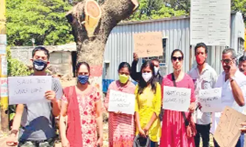 BBMP Forest Officers negligent in tree protection