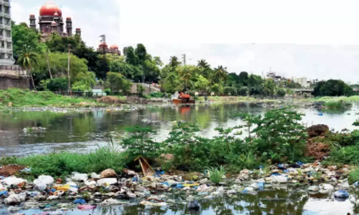 NGT: Musi, the most polluted river in Telangana