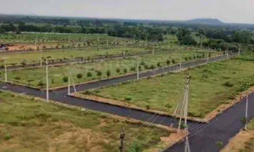 Land for sale in 10 districts on Nov 14