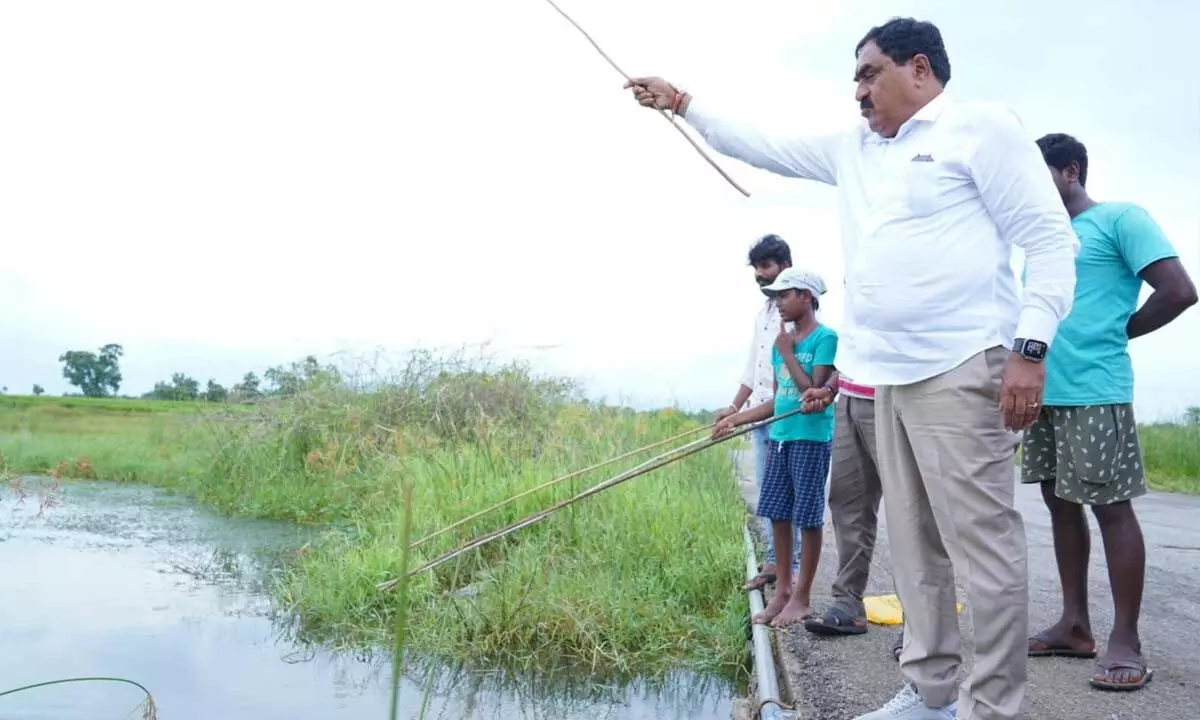 Minister for Panchayat Raj and Rural Development Errabelli Dayakar Rao trying his hand at fishing at a tank near Errabelligudem under Nellikuduru mandal on Sunday