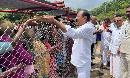 Pilgrim rush remains unabated in Tirumala