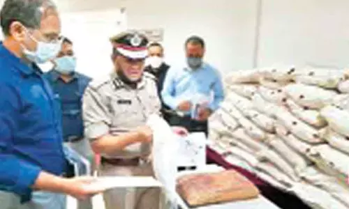 Marijuana peddling on the rise across Bengaluru city