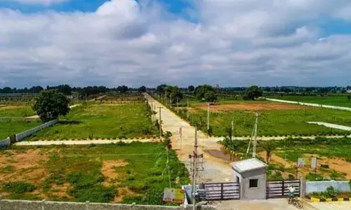 APIIC mulls monetising 400 acres to raise Rs 1K cr