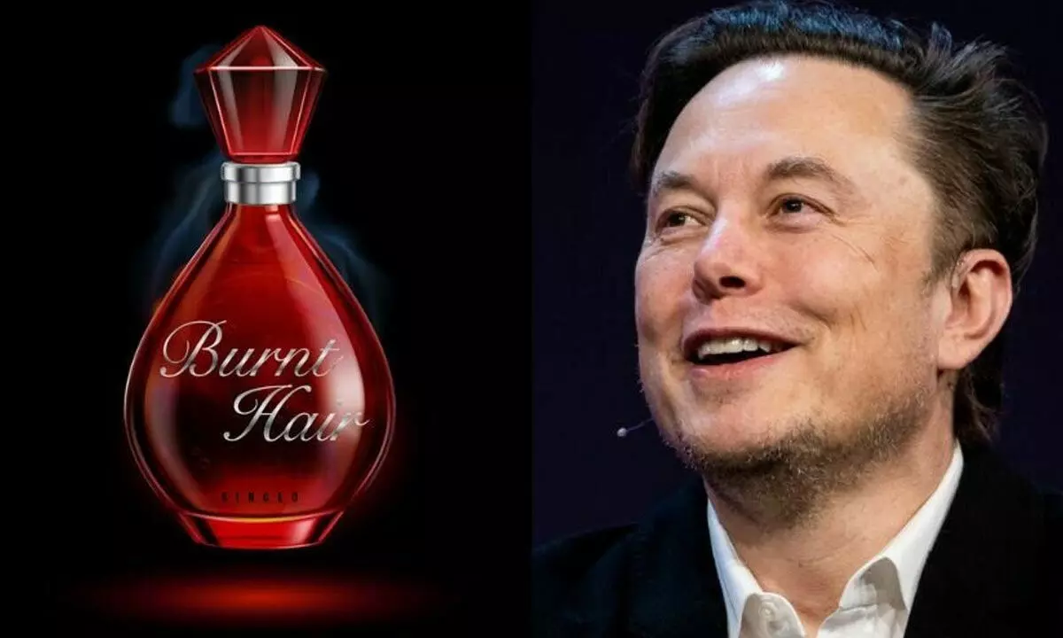 Elon Musk Tweets, "Please buy my perfume, so I can buy Twitter"