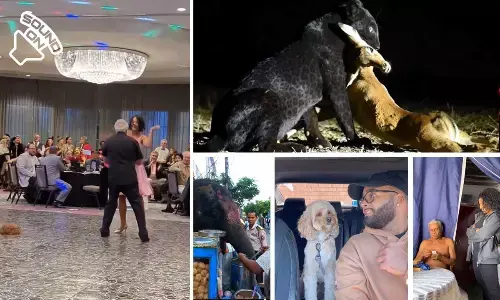 Top Trending Video Of The Week