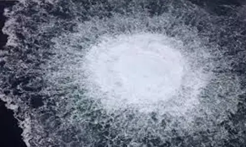 Vulnerabilities in undersea infrastructure