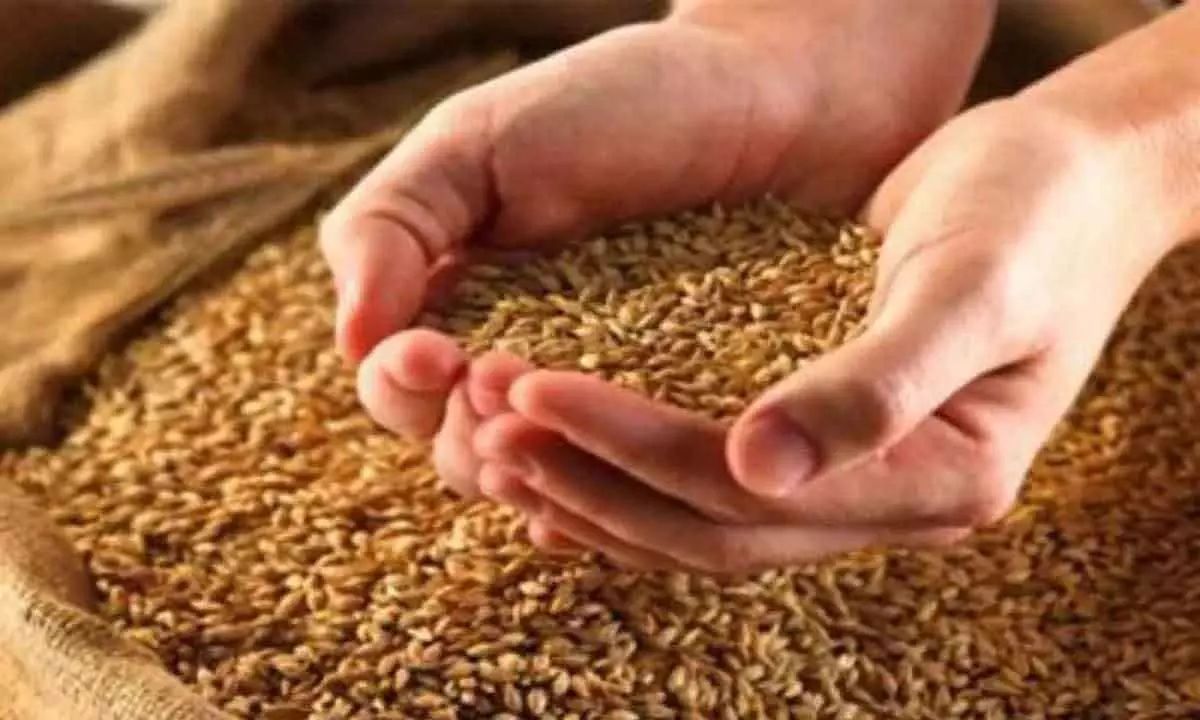 Ban on foodgrain exports to stay