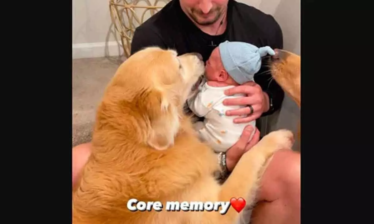 The image, taken from the Instagram video, shows the Golden Retrievers meeting a newborn baby.(Instagram/@hdbrosriley)