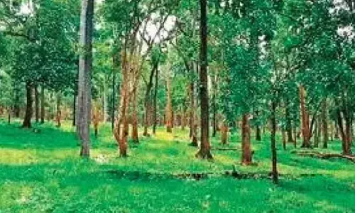 Representational Image