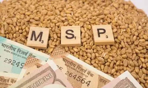 Centre hikes MSP for all rabi crops Centre hikes MSP for all rabi crops