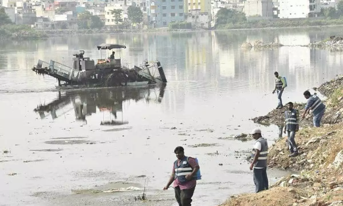 GHMC ropes in entomology wing to clear mosquito menace in Hyderabad