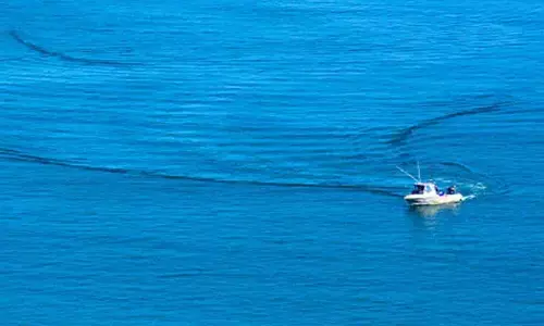 The incident happened in the Gulf of Mannar area near the internal border line. (Representational image)