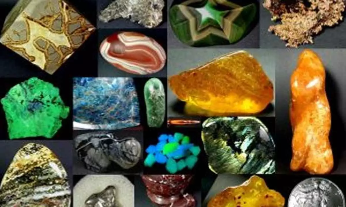 Rocks, crystals, minerals and fossils displayed for students