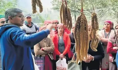 59-Year-Old Himachali Farmer Is Preserving Traditional Farming Methods