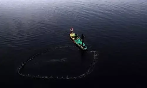 TN fishermen wary of returning to the sea after Navy firing