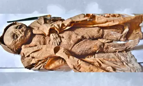 The infant mummy covered in a silk coat. (Nerlich et al., Frontiers, 2022)