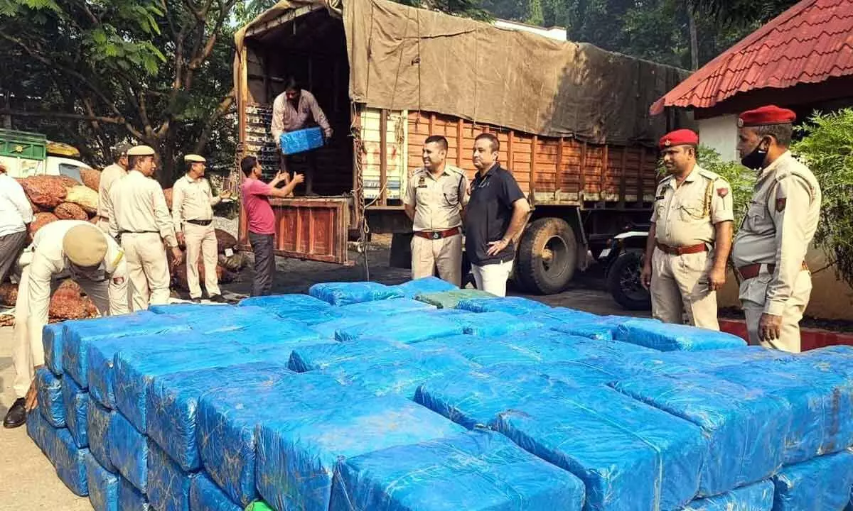 Assam: 2,500 kg ganja valued at Rs 15 crore seized