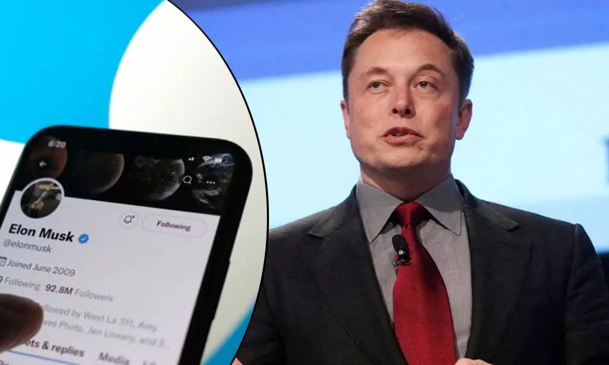 Twitter bans to be reversed soon: Elon Musk