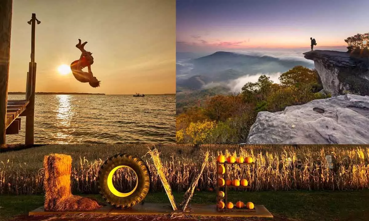 Fall in love with Virginia