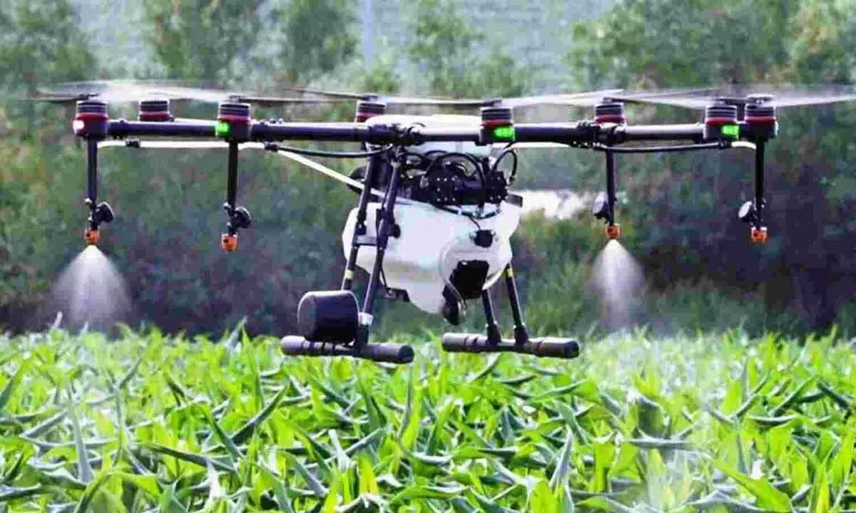 Drones safe for pesticide spraying?