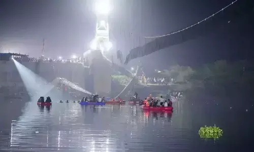 Price of horrendous neglect and graft