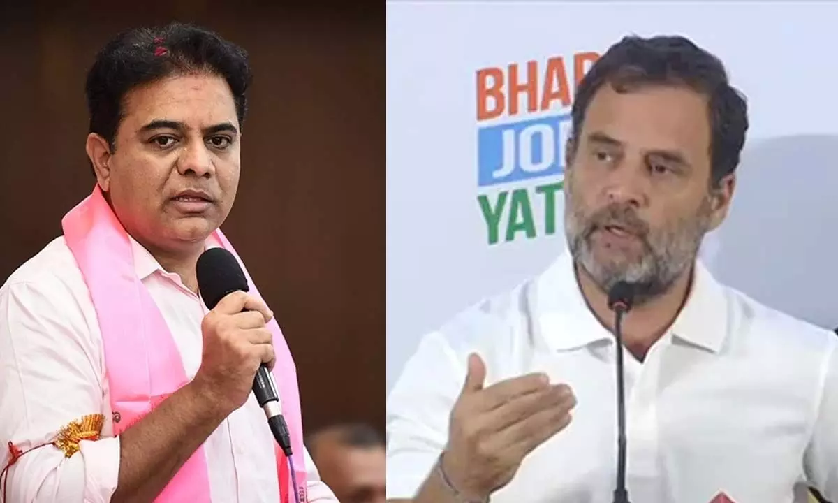 Make people vote you in Amethi first, KTR tells Rahul Gandhi