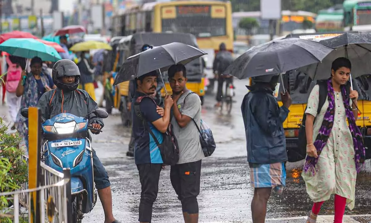 Heavy rains lash Nellore, Prakasam