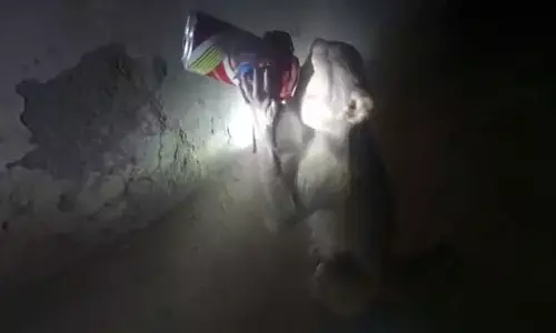 Arey Mama Ek Peg La is what this monkey needs in UPs Rae Barelli