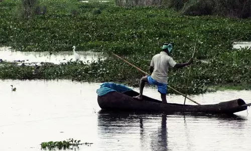 For representational purpose