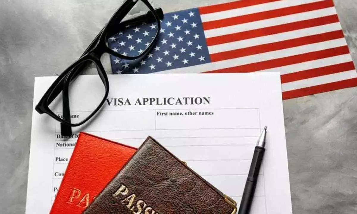 Diaspora group launches online petition to cut visa wait time