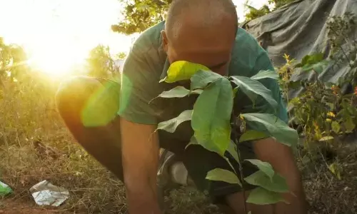 An Israeli Couple Created A Self-Sustaining Forest On 70 Acres Of Unused Land In Tamil Nadu