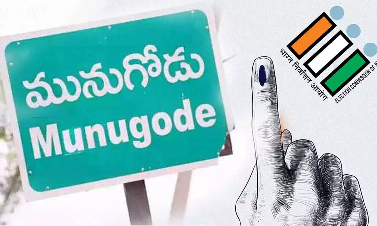 Munugode bypoll: Over 25% voting in four hours