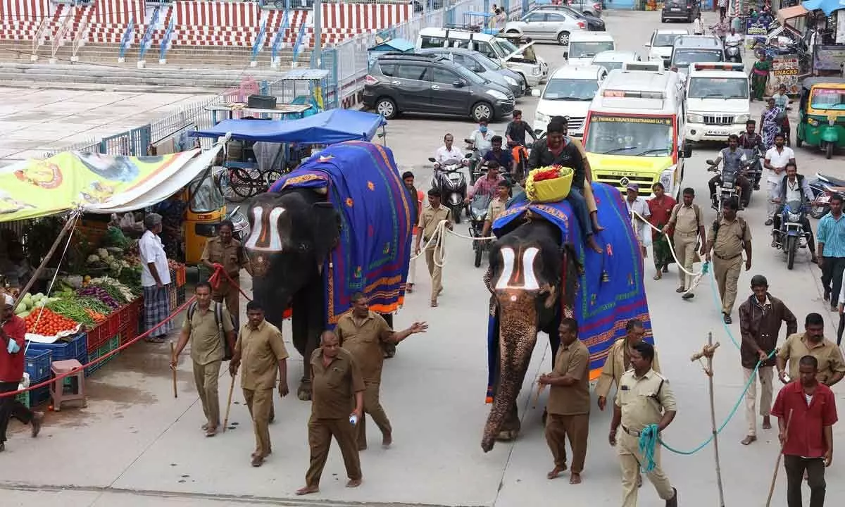A view of the trial run of Sri Vari Padi procession