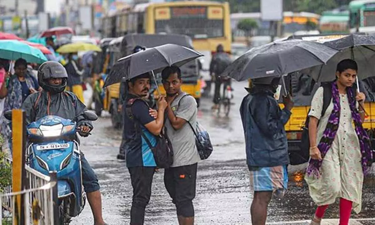 Commuters holding umbrellas walk down a road amid rainfall, in Chennai. (PTI)