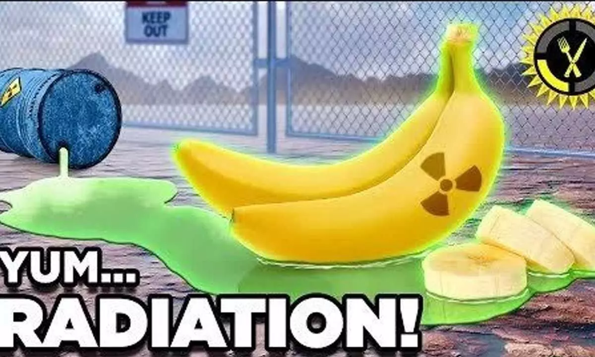 Are bananas really ‘radioactive’?
