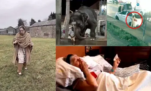 Top Trending Videos Of The Week