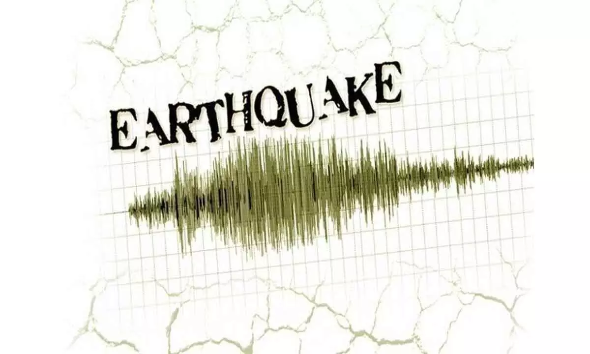 Earthquake strikes central Indonesia, no tsunami alert issued