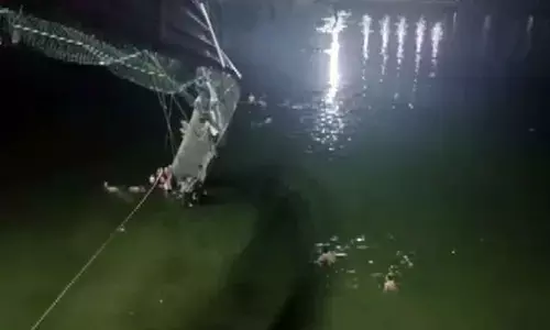 Greed responsible for bridge collapse, not tech: IIT-D