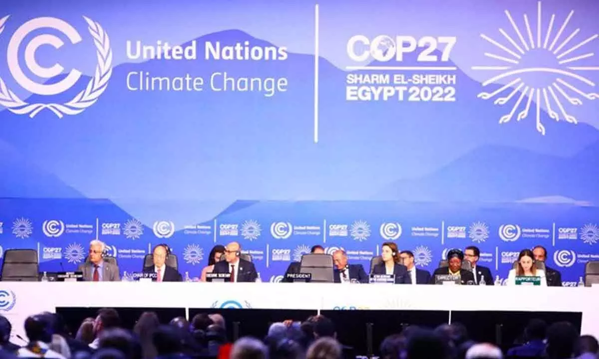 UN climate conference opens in Egypt
