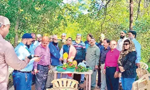 Medicinal herbs study critical in curing diseases, ailments: Experts