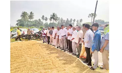 District Agriculture Officer N Vijay Kumar checking the quality of paddy grains at  G Mamidada village on Tuesday
