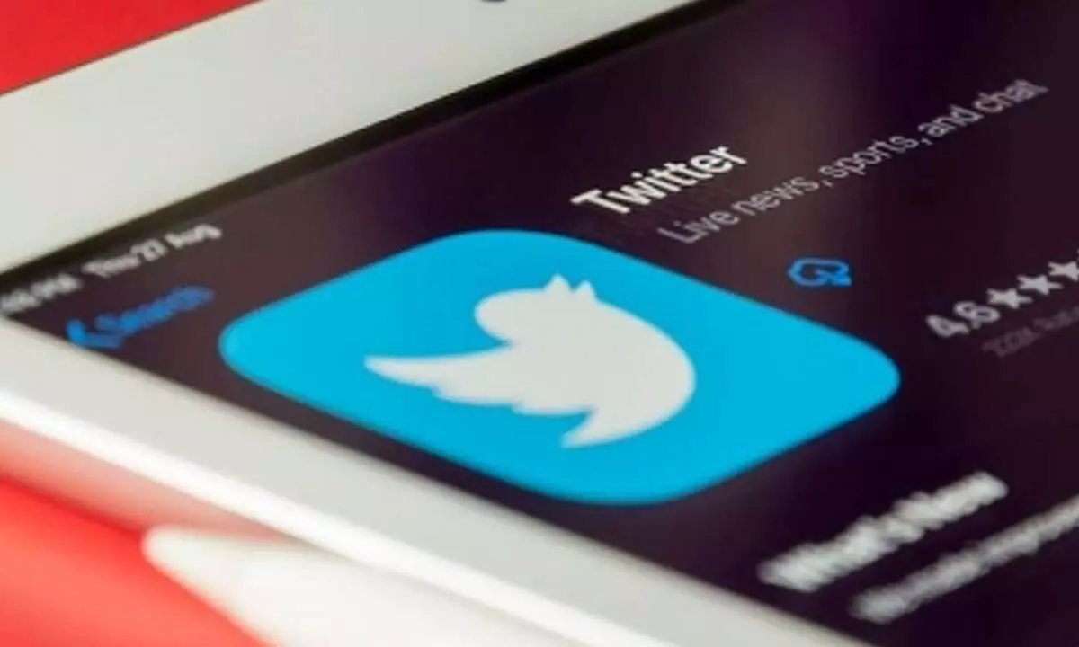 Now $8 Twitter Blue service disappears on iOS app, users flummoxed